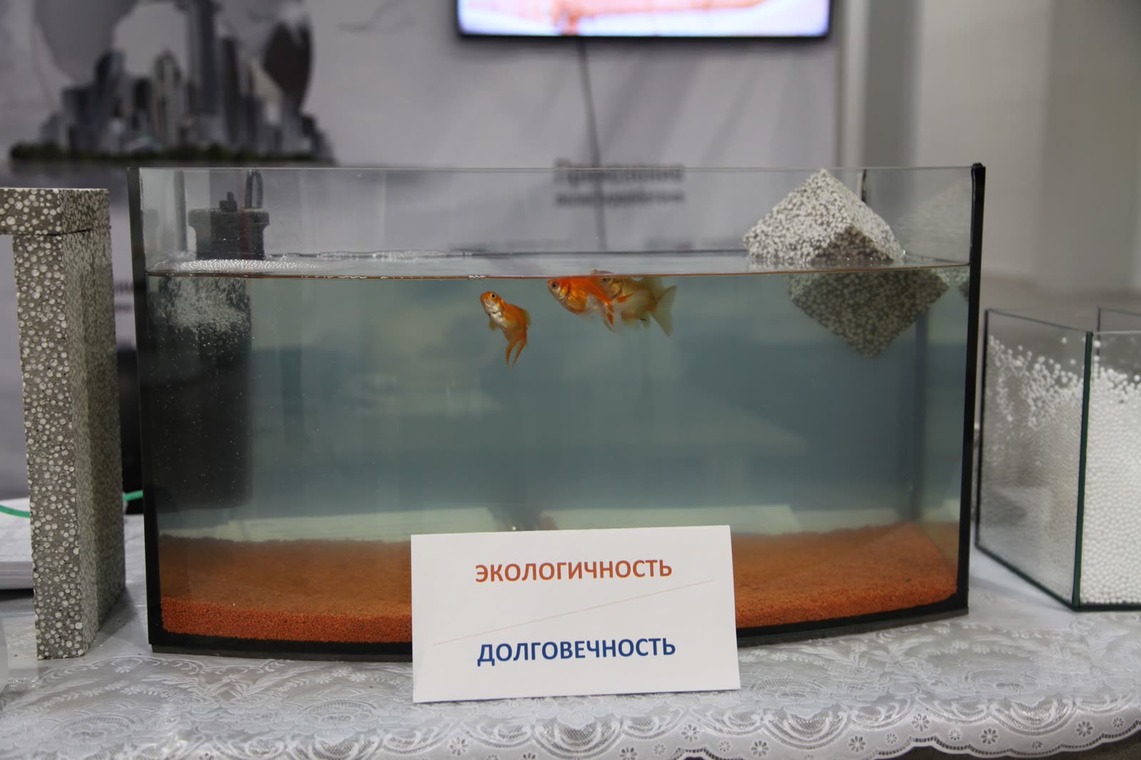 Аквариум на стенде ЗСИ: золотые рыбки живут в воде, кубик полистиролбетона плавает на поверхности